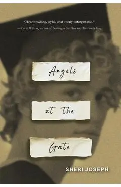 Angels at the Gate - Sheri Joseph