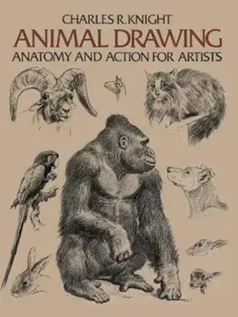 Animal Drawing: Its Origins, Ancient Forms and Modern Usage, Paperback/Charles Knight