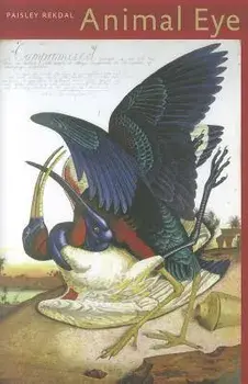 Animal Eye, Paperback/Paisley Rekdal