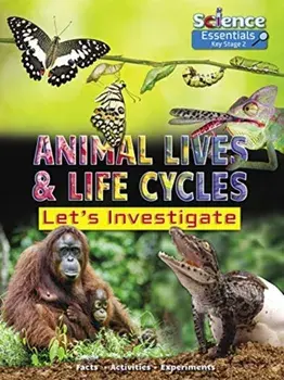 Animal Lives and Life Cycles: Let's Investigate, Paperback/Ruth Owen