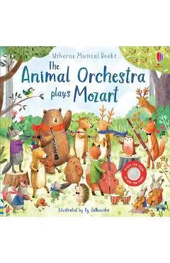 Animal Orchestra Plays Mozart - Sam Taplin