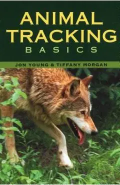 Animal Tracking Basics - Tiffany Morgan