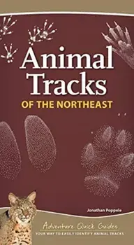 Animal Tracks of the Northeast: Your Way to Easily Identify Animal Tracks, Spiral/Jonathan Poppele
