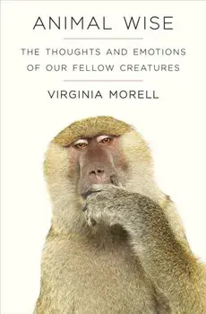 Animal Wise. The Thoughts and Emotions of Animals, Paperback/Virginia Morell