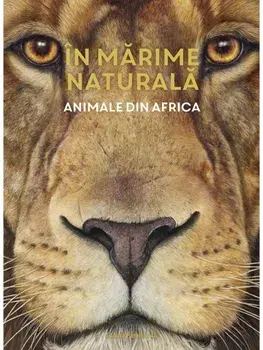 Animale din Africa/Haag Holger