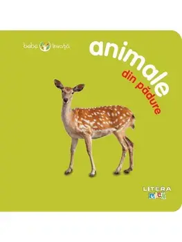 Animale din padure. Bebe invata/***
