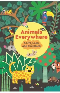 Animals Everywhere: A Lift, Look, and Find Book - Stéphanie Babin