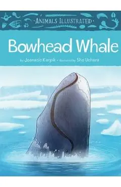 Animals Illustrated: Bowhead Whale - Joanasie Karpik