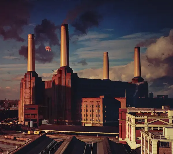Animals (Remastered) | Pink Floyd