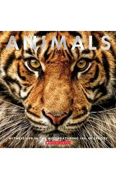 Animals: Witness Life in the Wild Featuring 100s of Species - Scholastic