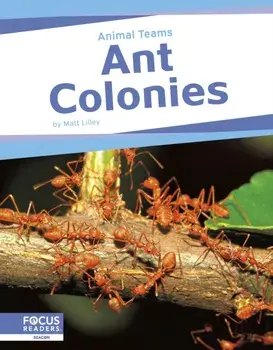 Ant Colonies, Hardback/Matt Lilley