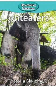 Anteaters - Victoria Blakemore