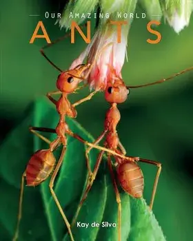 Ants: Amazing Pictures & Fun Facts on Animals in Nature, Paperback/Kay De Silva