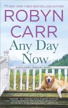 Any Day Now, Paperback/Robyn Carr