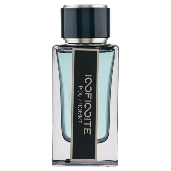 Apa de Parfum Infinite Pour Homme, Fragrance World, Barbati 100ml