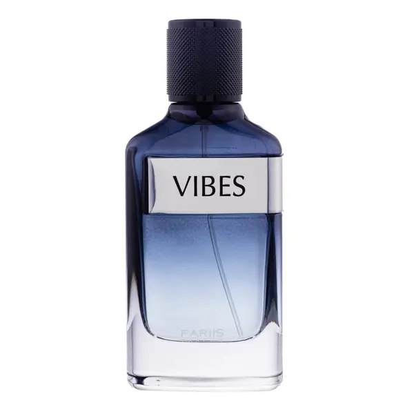 Apa de Parfum Vibes, Fariis, Barbati 100ml