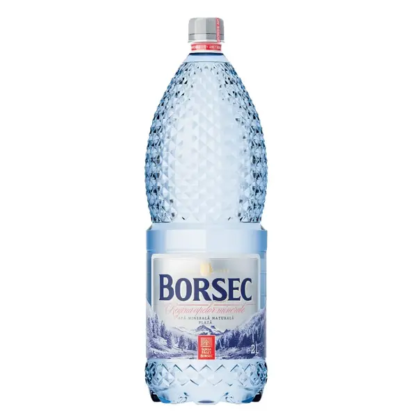 Apa plata Borsec 2l Apa plata Borsec 2l