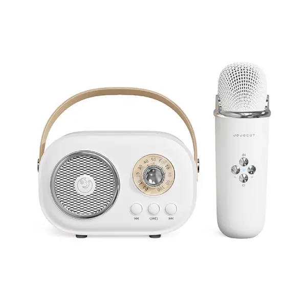 Aparat Karaoke Portabil iSEN C20 Plus, Alb, Microfon Wireless UHF, Bluetooth 5.0, Sunet HIFI, Anti-howling, Autonomie 2-4H, Aplicatii Multiple, Baterie 1000mAh 500mAh, Incarcare Type-C