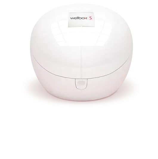Aparat LPG WELLBOX S pentru acasa