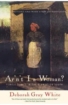 Ar'n't I a Woman?: Female Slaves in the Plantation South - Deborah Gray White