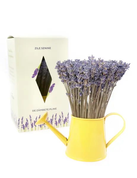 Aranjament floral - Mini stropitoare cu lavanda, galben | Fleurane