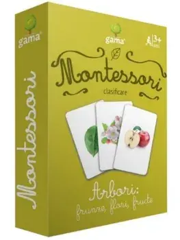 Arbori: frunze, flori, fructe. Clasificare/***