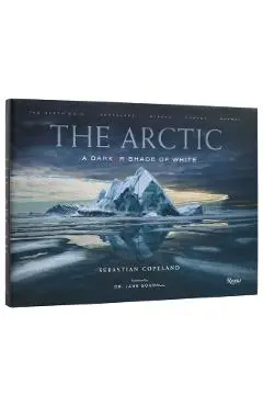 Arctic - Sebastian|goodall Copeland