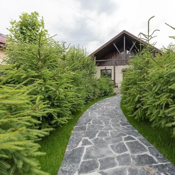 Ardezie Poligonala Verde Laguna - Piatra Naturala pt. Interior / Exterior | Fatade, Pavaje si Alei