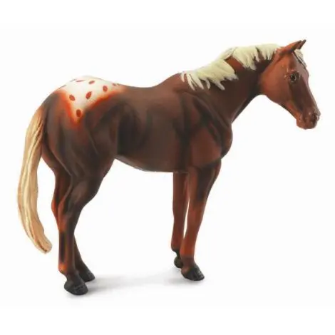 Armasar Castaniu - Collecta