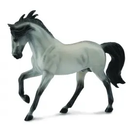 Armasar Murg Andaluz Sur 1:12