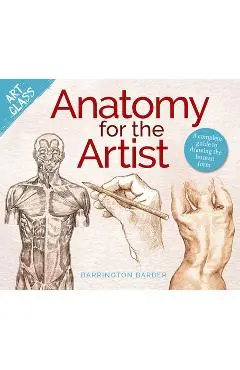 Art Class: Anatomy for the Artist: A Complete Guide to Drawing the Human Form - Barrington Barber