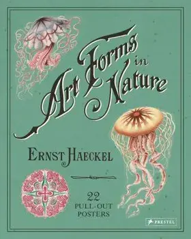 Art Forms in Nature: 22 Pull-Out Posters, Paperback/Ernst Haeckel