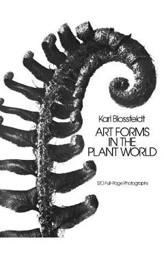 Art Forms in the Plant World - Karl Blossfeldt