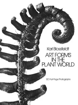 Art Forms in the Plant World, Paperback/Karl Blossfeldt