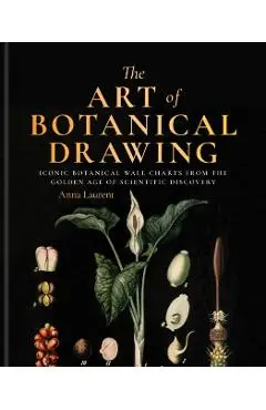 Art of Botanical Painting - Anna Laurent