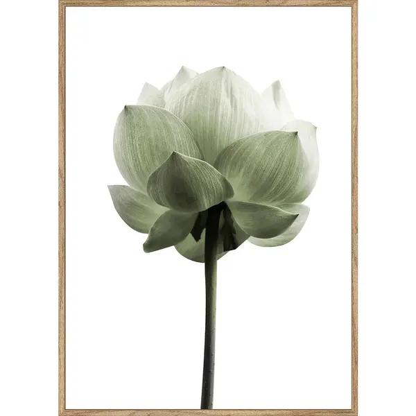 Art Print 50/70 cm
