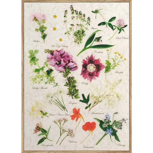Art Print 51,2/71,2 cm