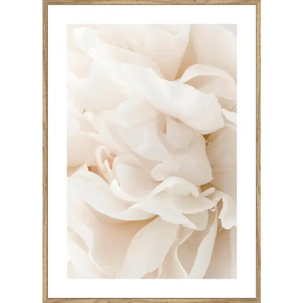 Art Print 51,2/71,2 cm