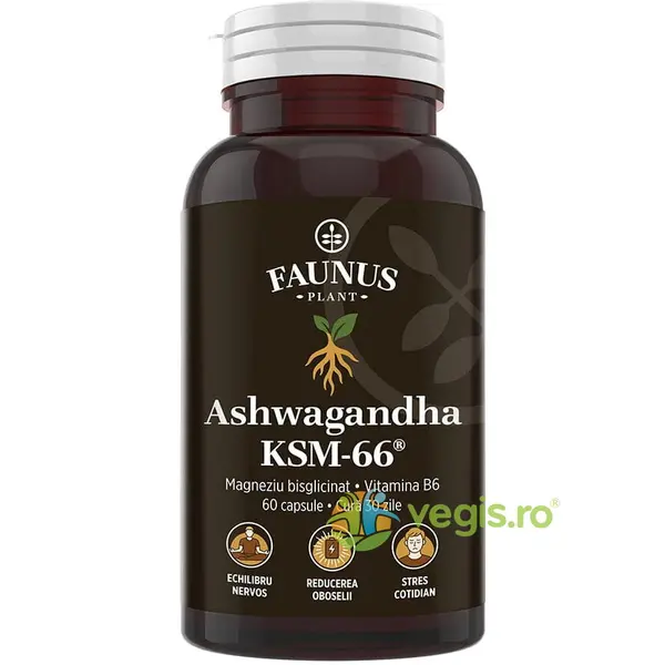 Ashwagandha KSM-66 60cps