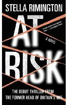 At Risk - Stella Rimington