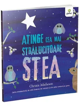 Atinge cea mai stralucitoare stea/Christie Matheson