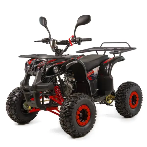 Atv copii XTR 006 Phyton, roti 7 inch, 125cc, 4 timpi, 1+1, pornire electrica, culoare negru rosu