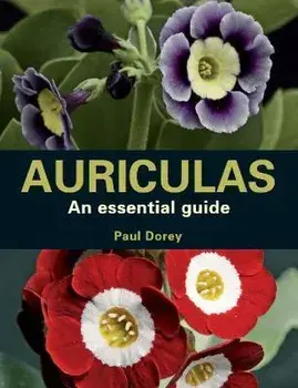 Auriculas. An Essential Guide, Paperback/Paul Dorey