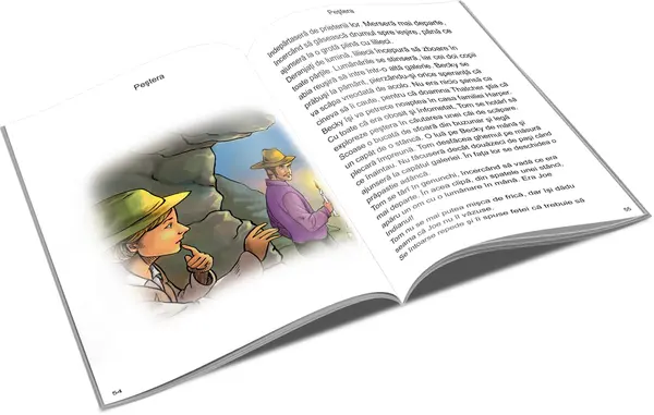 Aventurile lui Tom Sawyer |