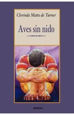 Aves sin nido - Clorinda Matto De Turner