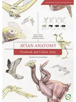 Avian Anatomy 2nd Edition. Textbook and Colour Atlas, Hardback/Horst Erich Konig
