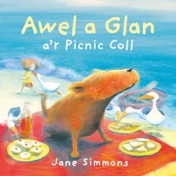 Awel a Glan a'r Picnic Coll, Paperback/Jane Simmons