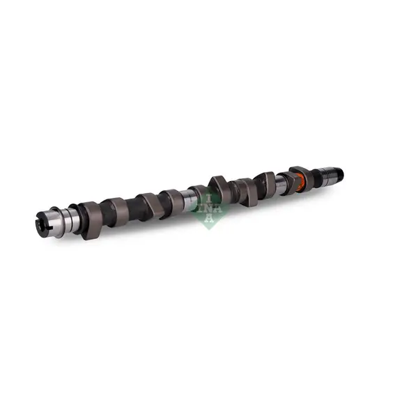 Ax cu came Schaeffler INA 428 0079 10