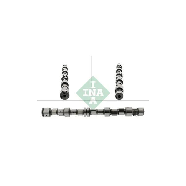 Ax cu came Schaeffler INA 428 0096 10