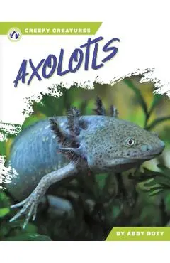 Axolotls - Abby Doty